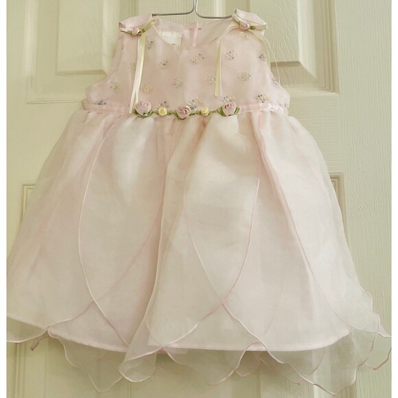 Biscotti Baby Gir 6 Months Pink Floral Embroidered with Tulle Overlay - Picture 1 of 5